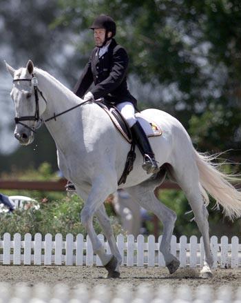 爱游戏官网入口-马术比赛中奥地利选手骑术高超(马术比赛中奥地利选手骑术高超的原因)