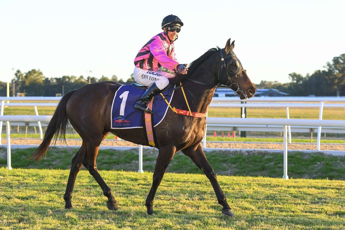 马术比赛中奥地利选手骑术高超(马术比赛中奥地利选手骑术高超的原因) 马术比赛中奥地利选手骑术高超(马术比赛中奥地利选手骑术高超的原因)