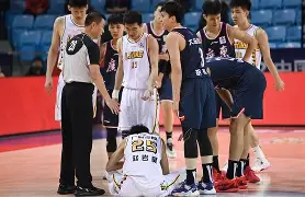 爱游戏官网-浙江广厦粉碎四川雄鹿，迎来复仇时刻的简单介绍