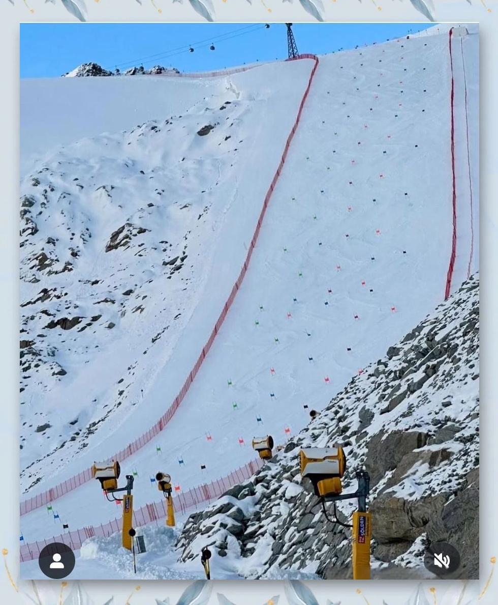 瑞士滑雪选手飘逸表现，斩获银牌的简单介绍